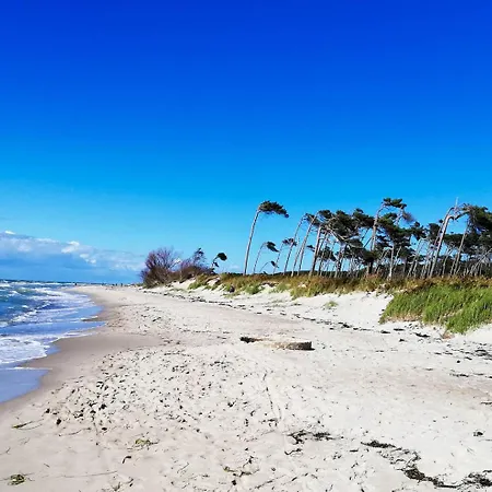 Appartamento Utkiek W5 - Ihr Hafen Der Erholung In Zingst